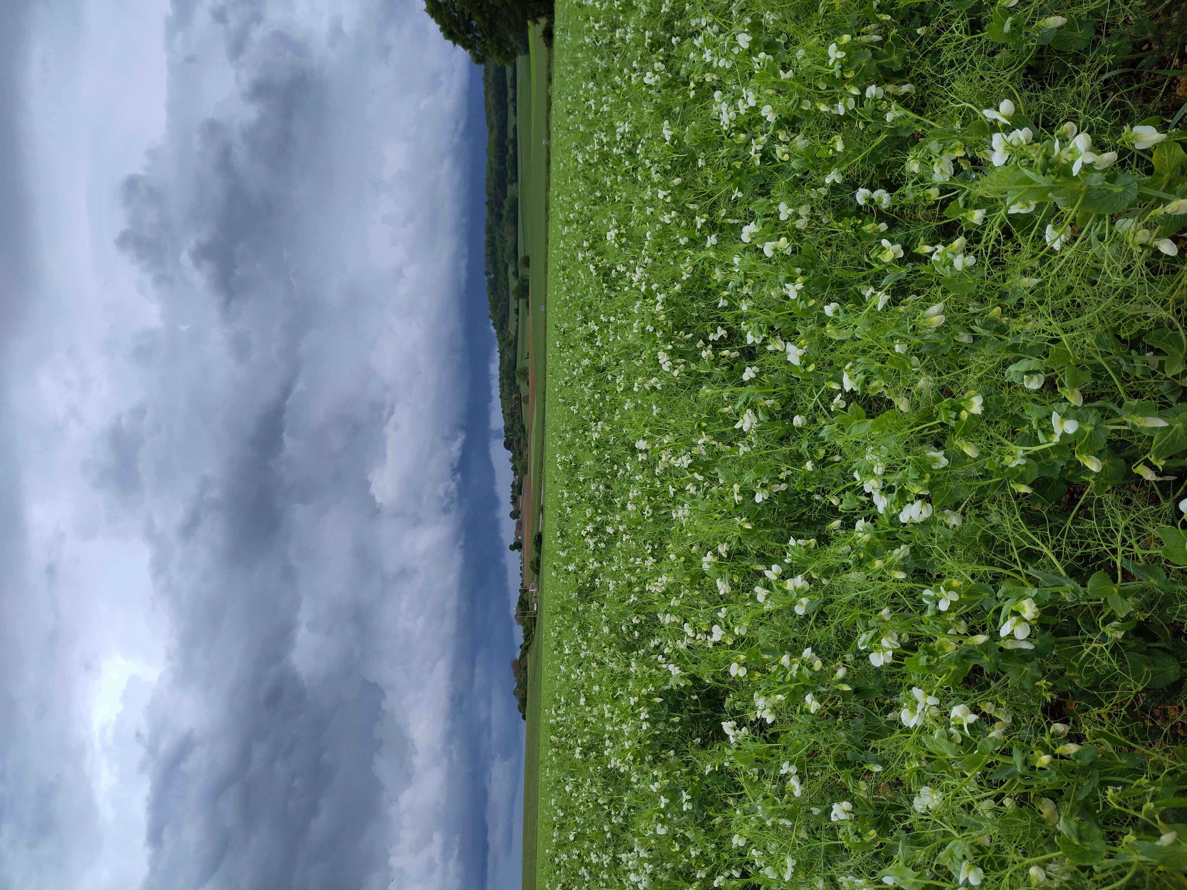 Canal latéral de Garonne